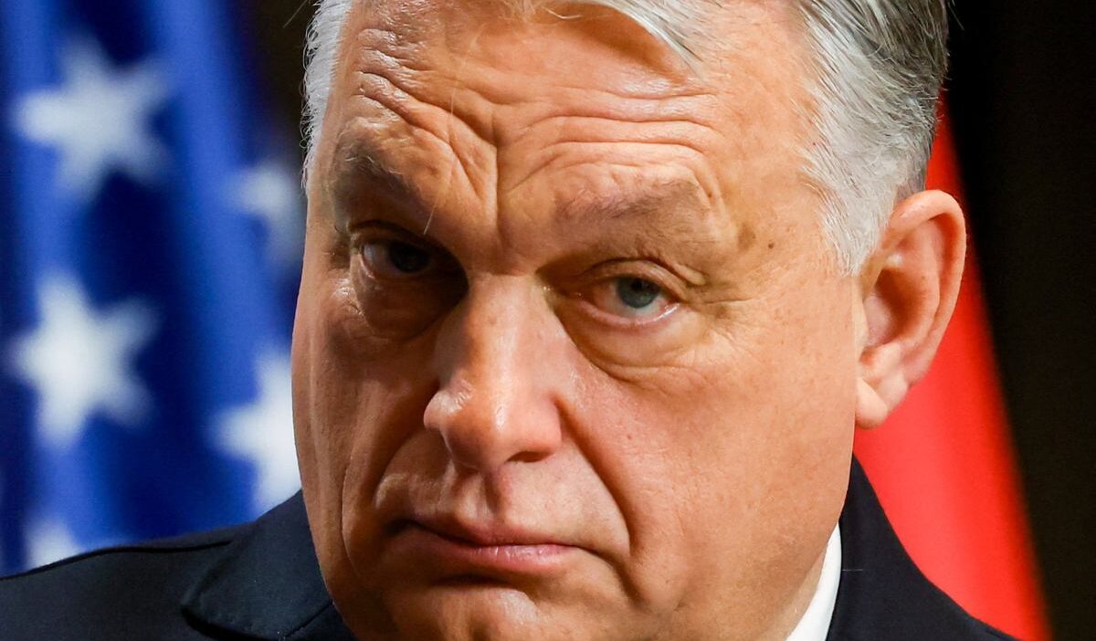 Macar başbakanı orban'dan zełenski'ye açık mektup: enerji güvenliği uyarısı 1 Macar basbakani orban dan ze enski ye acik mektup enerji guvenligi uyarisi 49850