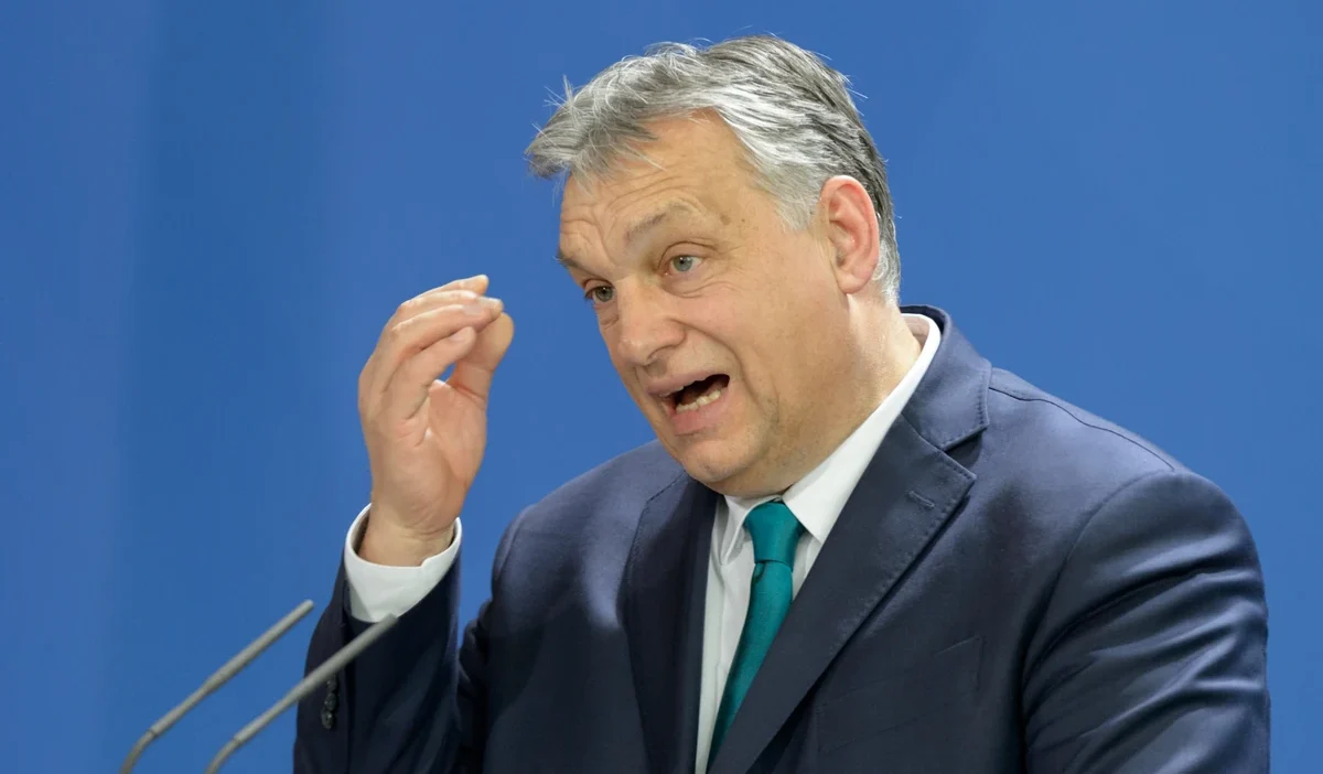 Macaristan cok yonlu ekonomik baski altinda 46409