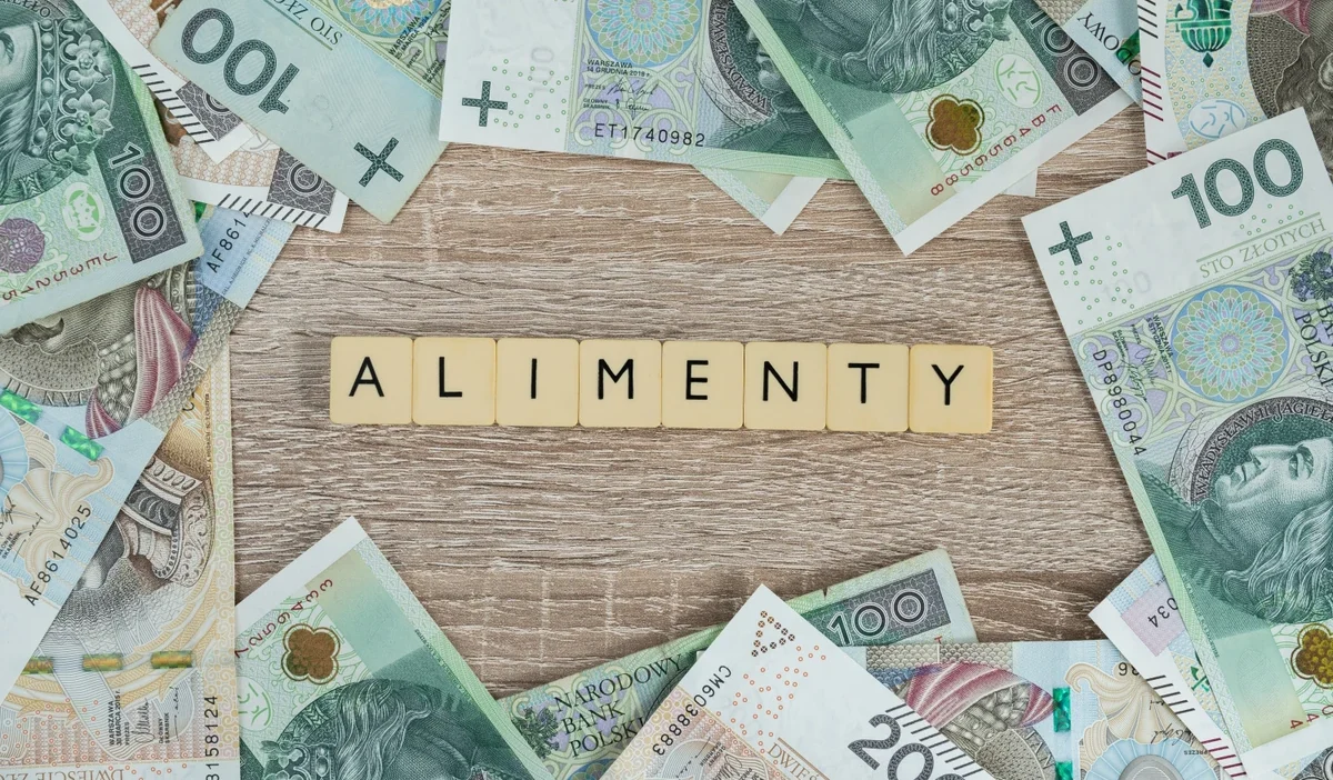 Nafaka alirken bilinmeyen olum mahkemenin karari 41381