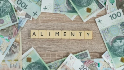 Nafaka alirken bilinmeyen olum mahkemenin karari 41381