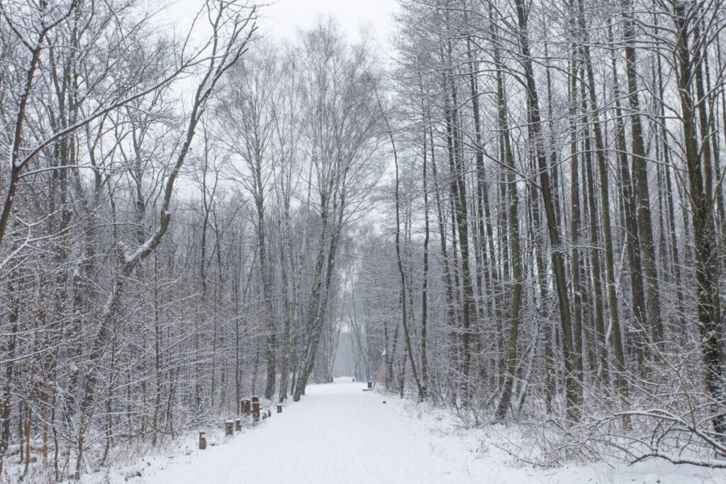 nekli de quad sorunu vatandaslar mucadele ederken yetkililer sadece kelimeyle destekliyor 42122