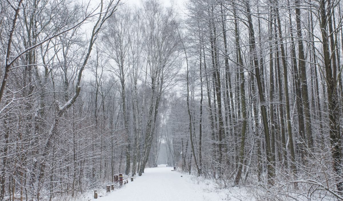 Nekli de quad sorunu vatandaslar mucadele ederken yetkililer sadece kelimeyle destekliyor 42122