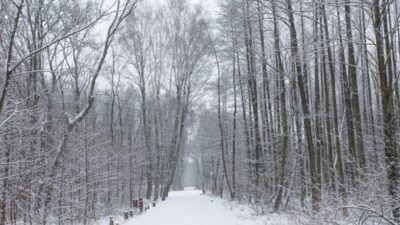 Nekli de quad sorunu vatandaslar mucadele ederken yetkililer sadece kelimeyle destekliyor 42122