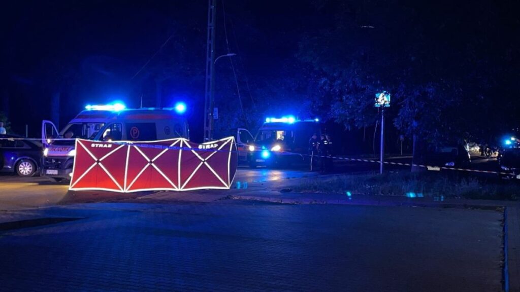 otoyolda tekerlek degistirirken fenalasan adam hayatini kaybetti 48388