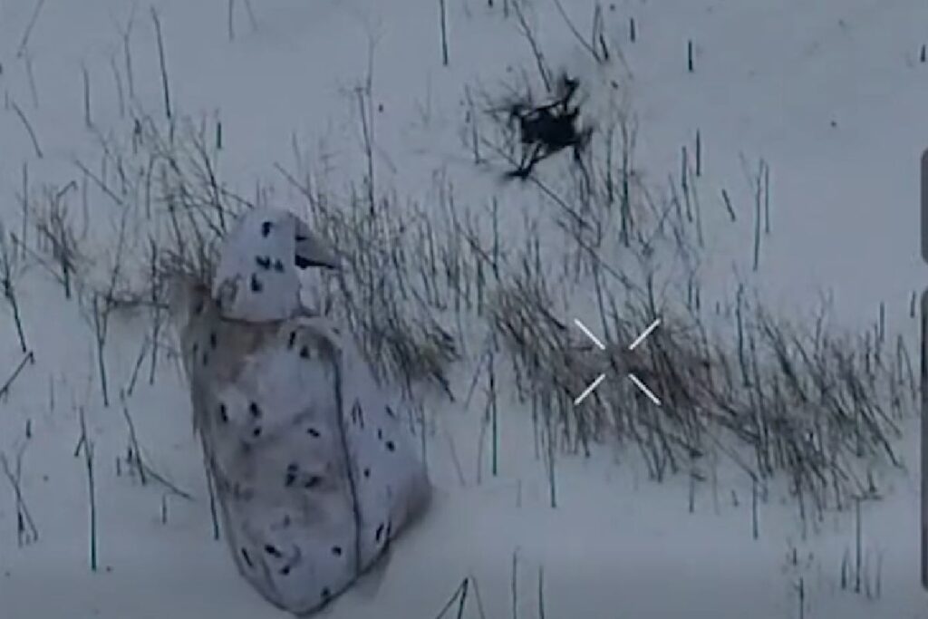 penguin kostumlu rus askerleri ukrayna ordusu tarafindan tespit edildi 41063