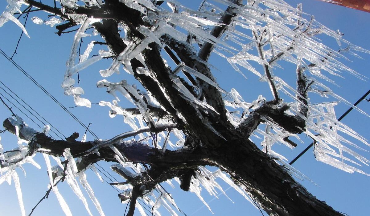 Polonya da asiri soguk uyarilari imgw den birinci ve i kinci derece alarm 41258