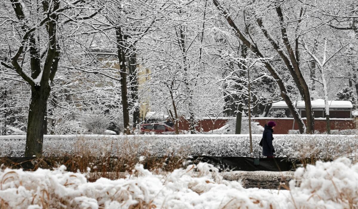 Polonya da don uyarisi kuvvetleniyor imgw nin i kinci derece uyarisi dogu bolgeleri kapsiyor 41718