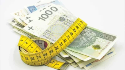 Polonya da ek hizmetler vas kullanimi artarken yeni kanun tasarisi pazari geriletebilir 49847