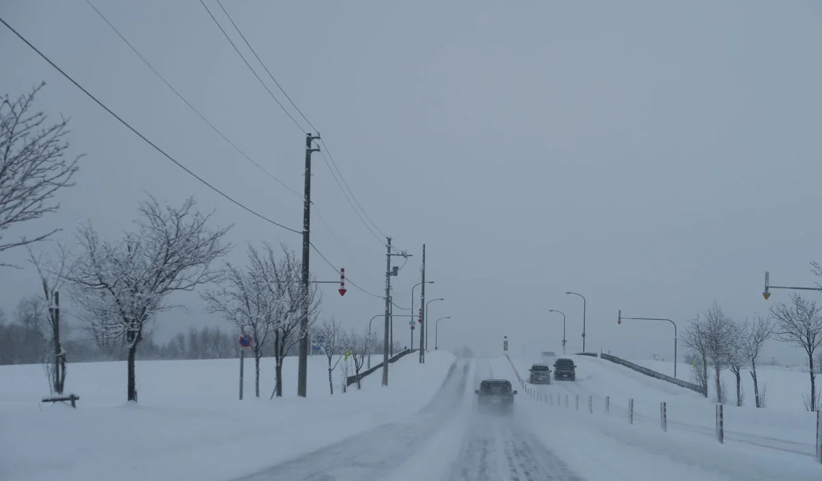 Polonya da enerji talebinde yeni zirve rekoru ve tarihi uretim seviyesi 42001