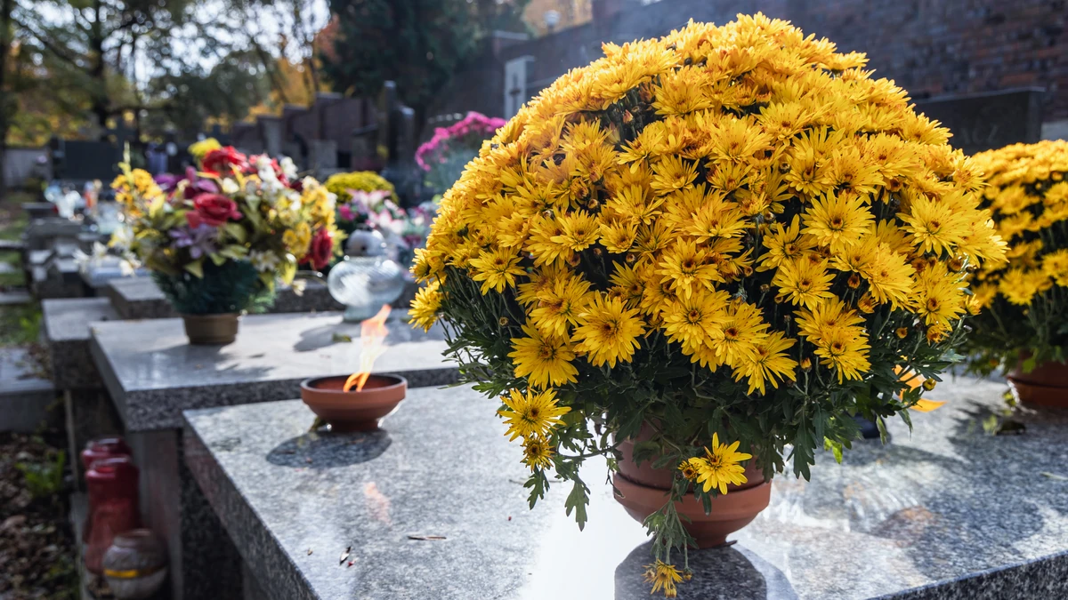 Polonya da gomut yardimi artirildi 7 bin z otylik destek yeni uygulamayla basladi 43903