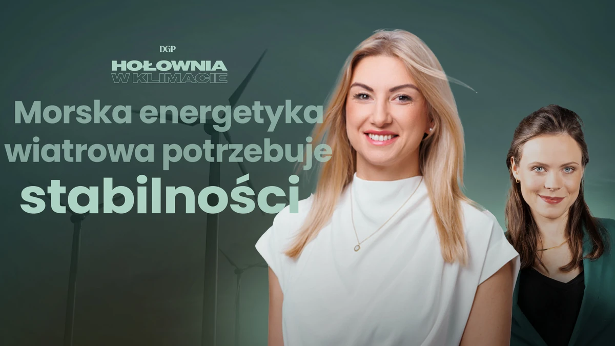 Polonya da offshore ruzgar enerjisi i cin yerel i cerik hedefi 40 45 44596