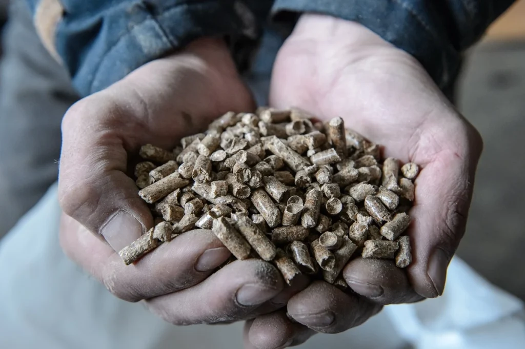 polonya da pellet krizinde fiyat artisi ve stok eksikligi 42594