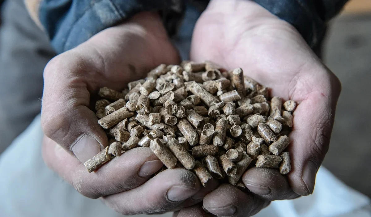 Polonya da pellet krizinde fiyat artisi ve stok eksikligi 42594