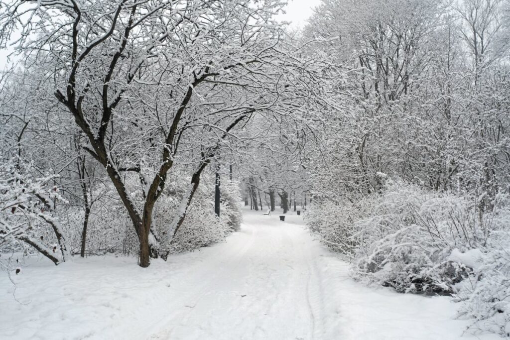 polonya da soguk hava dalgasi ve buzlanma uyarisi 43493