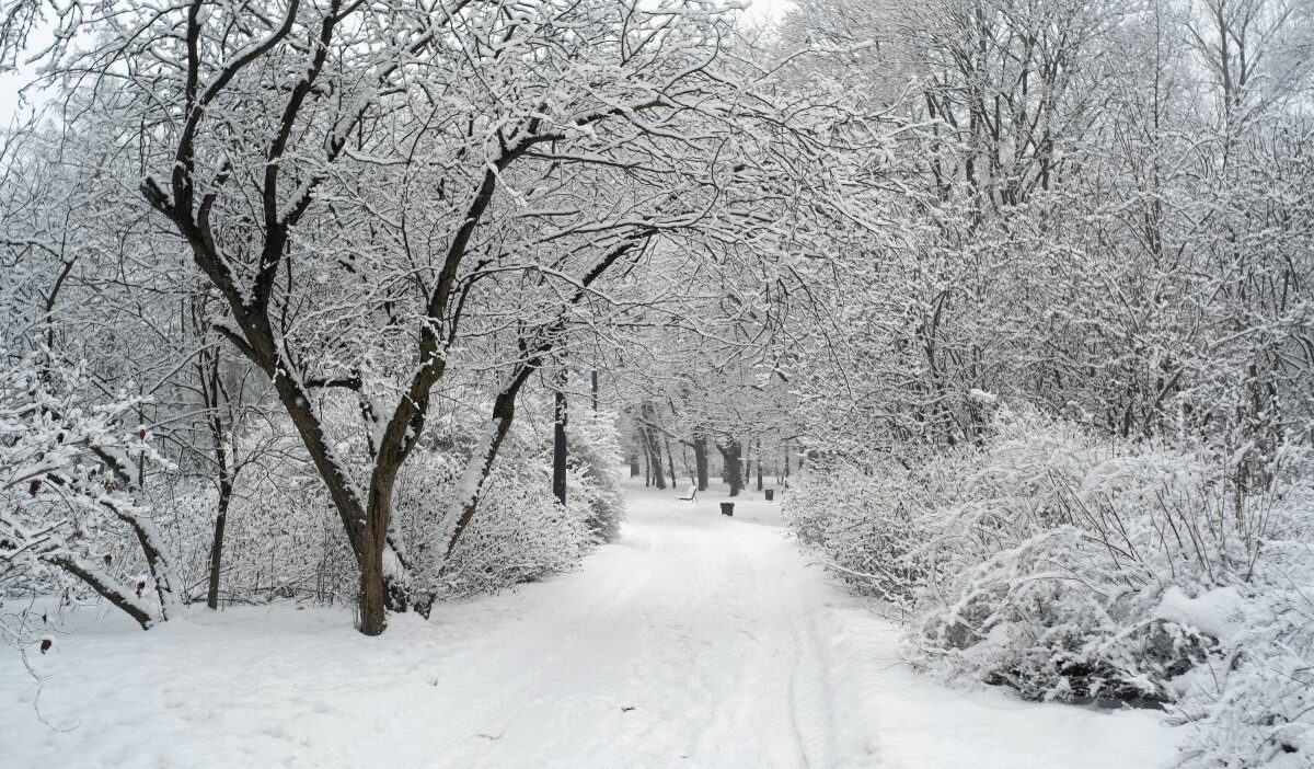 Polonya da soguk hava dalgasi ve buzlanma uyarisi 43493
