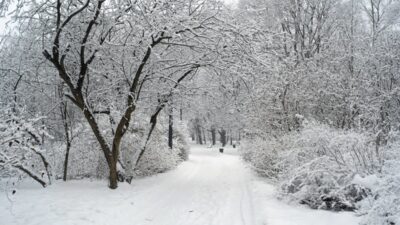 Polonya da soguk hava dalgasi ve buzlanma uyarisi 43493