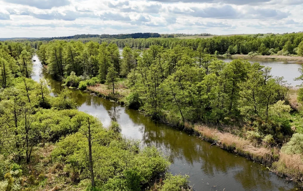 polonya su enerjisi gelisimi icin 4 bin yeni lokasyon acikladi 45914