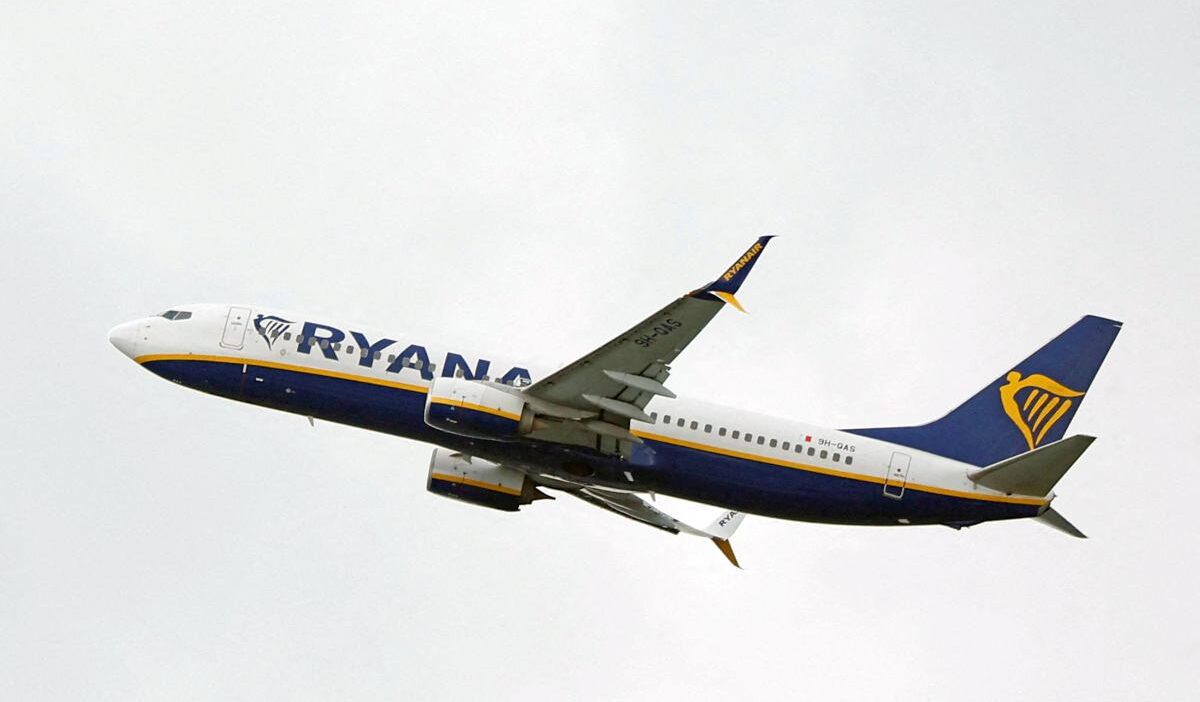 Ryanair yolcusunun havalimani saldirisi ucusu geciktirdi 44009