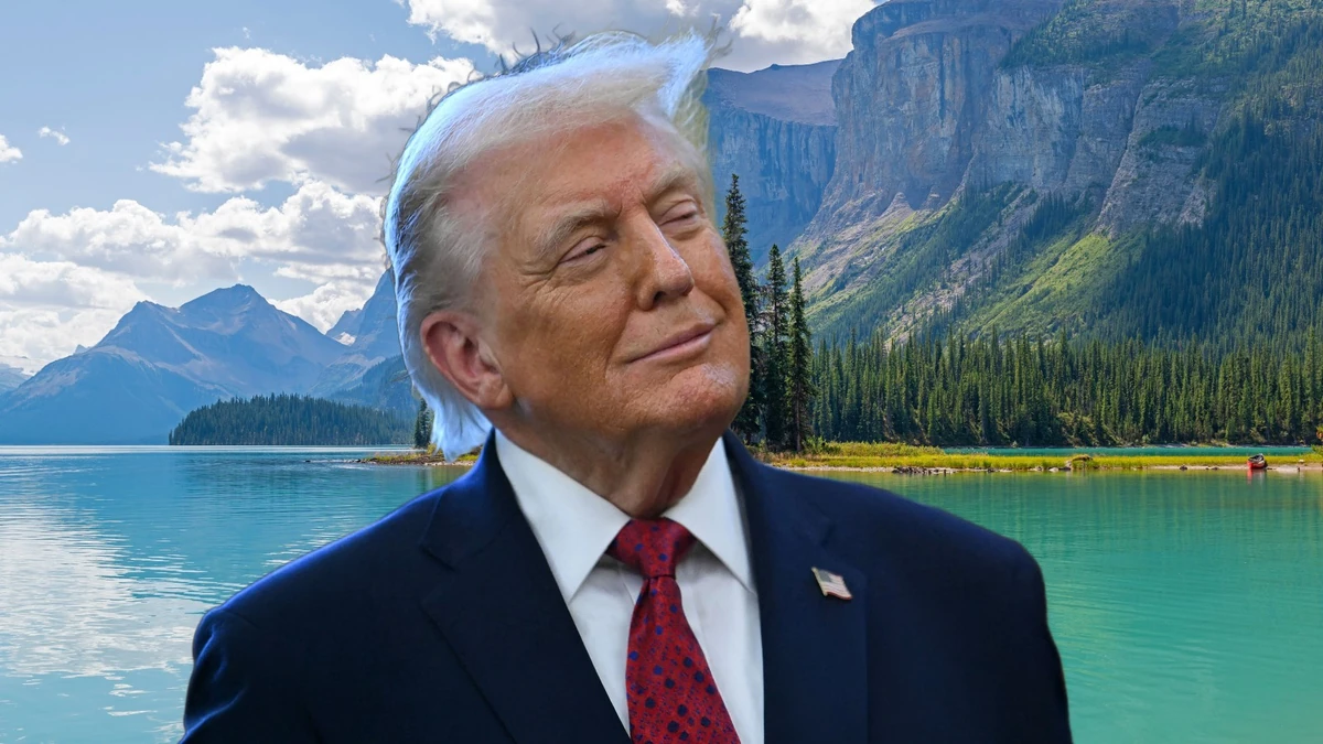 Tomasz j wik i letisim bilgileri 41072