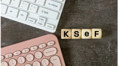 Ulusal e fatura sistemi nin uygulama tarihi neden bu kadar i yi secildi 41480