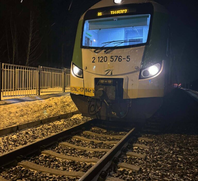 Urlach'ta tren çarpmasında 1 kişi hayatını kaybetti 1 Urlach ta tren carpmasinda 1 kisi hayatini kaybetti 47457