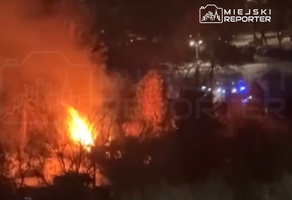 Varsova da bungalode yangin patlama sonrasi alevler yukseldi 42051