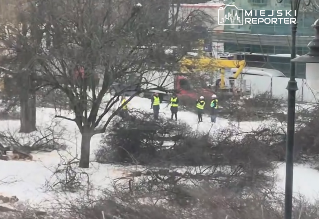 Varsova da pi sudski meydani restorasyonu i cin 74 agac kesildi 42407