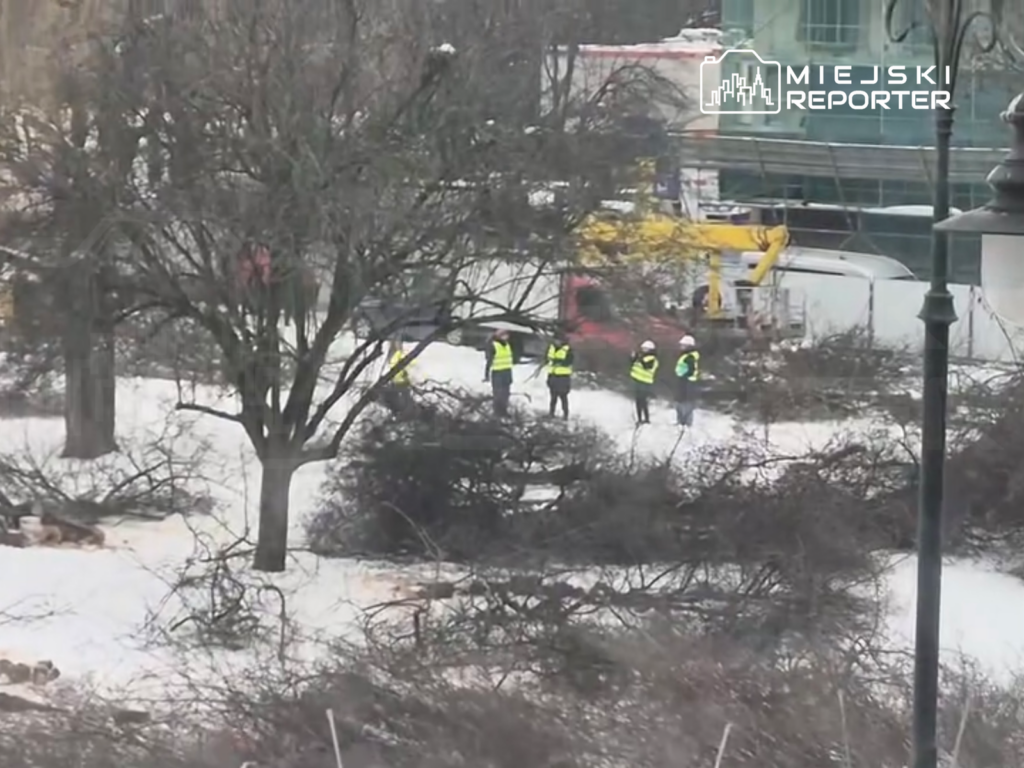 varsova da pi sudski meydani restorasyonu i cin 74 agac kesildi 42407