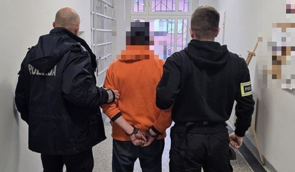 Zi bice te cocuk kacirma girisimi polis aciklama yapti 41401