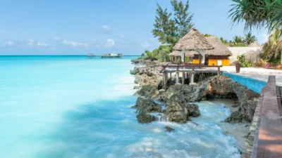 Zus lubus voyvodaliginda 2025 te 11 binden fazla raporlu tedavi i zni kontrolu yapti 48143