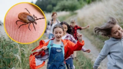 Havalar isiniyor tehlike uyaniyor kleszcz kene operasyonu basliyor