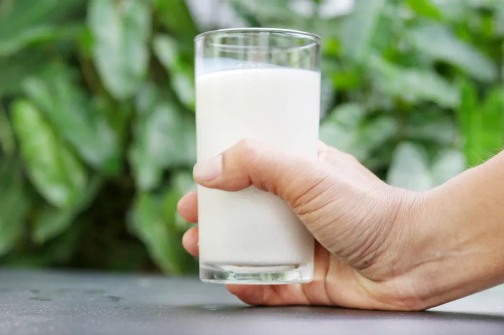 bitkisel i ceceklere sut etiketi yasagi avrupa da net karar 55587