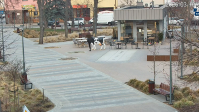 Garwolin'de sarhoş şüpheli, heykele saldırdı ve polise direndi 3 Garwolin de sarhos supheli heykele saldirdi ve polise direndi 53361