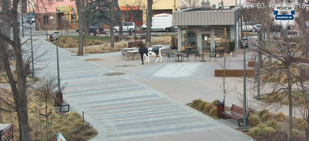 Garwolin de sarhos supheli heykele saldirdi ve polise direndi 53361