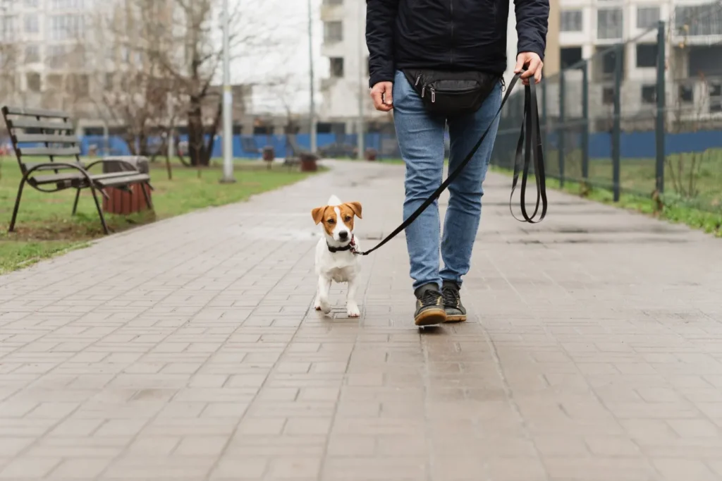 hayvan verileri ve kisisel verilerin korunmasi arasindaki celiski avrupa hukukunda yeni bir tartisma 53890