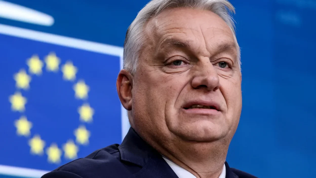 Macaristan başbakanı orban: rusya ile i̇şbirliği başarı i̇çin şart, batı elitleri tükenmiş durumda 1 Macaristan basbakani orban rusya ile i sbirligi basari i cin sart bati elitleri tukenmis durumda 55300