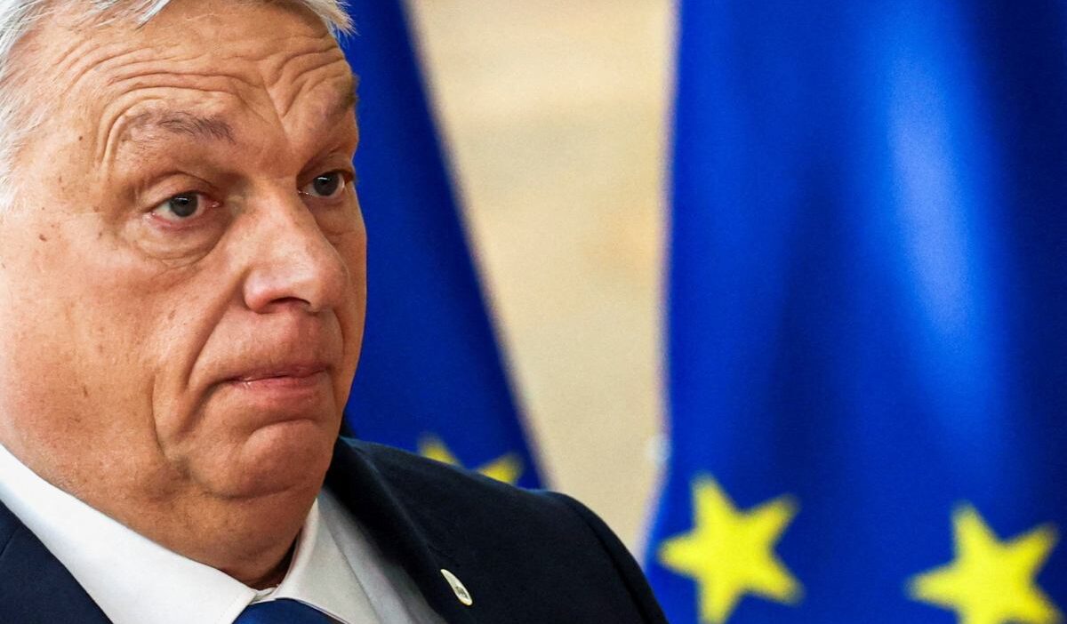 Macaristan secimlerinde tisza partisi liderligi guclendiriyor 55288