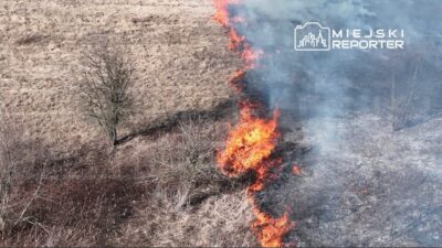 Mazovia da cimen ve boz arazi yanginlarinda belirgin artis 51039