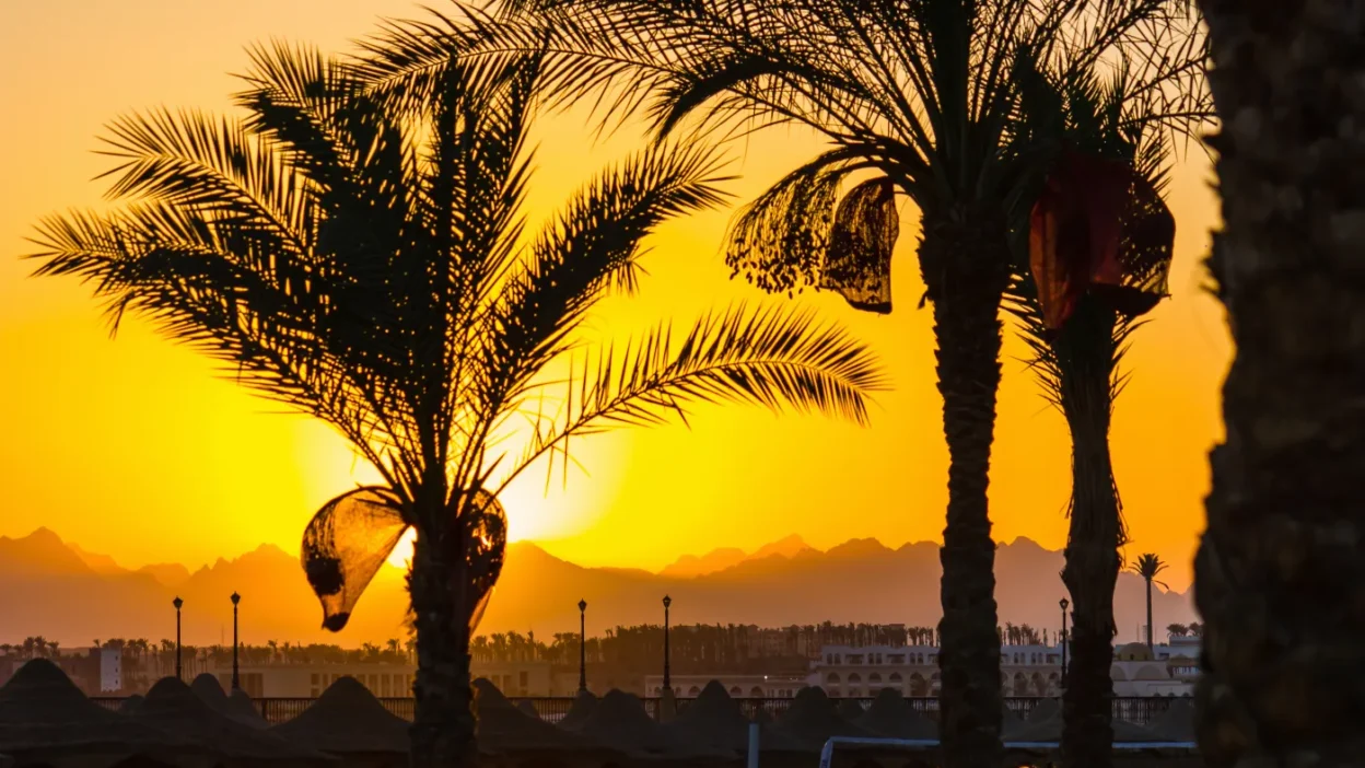 Misir diplomati nabil fahmi arap birligi genel sekreteri oldu 56665