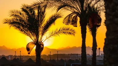 Misir diplomati nabil fahmi arap birligi genel sekreteri oldu 56665