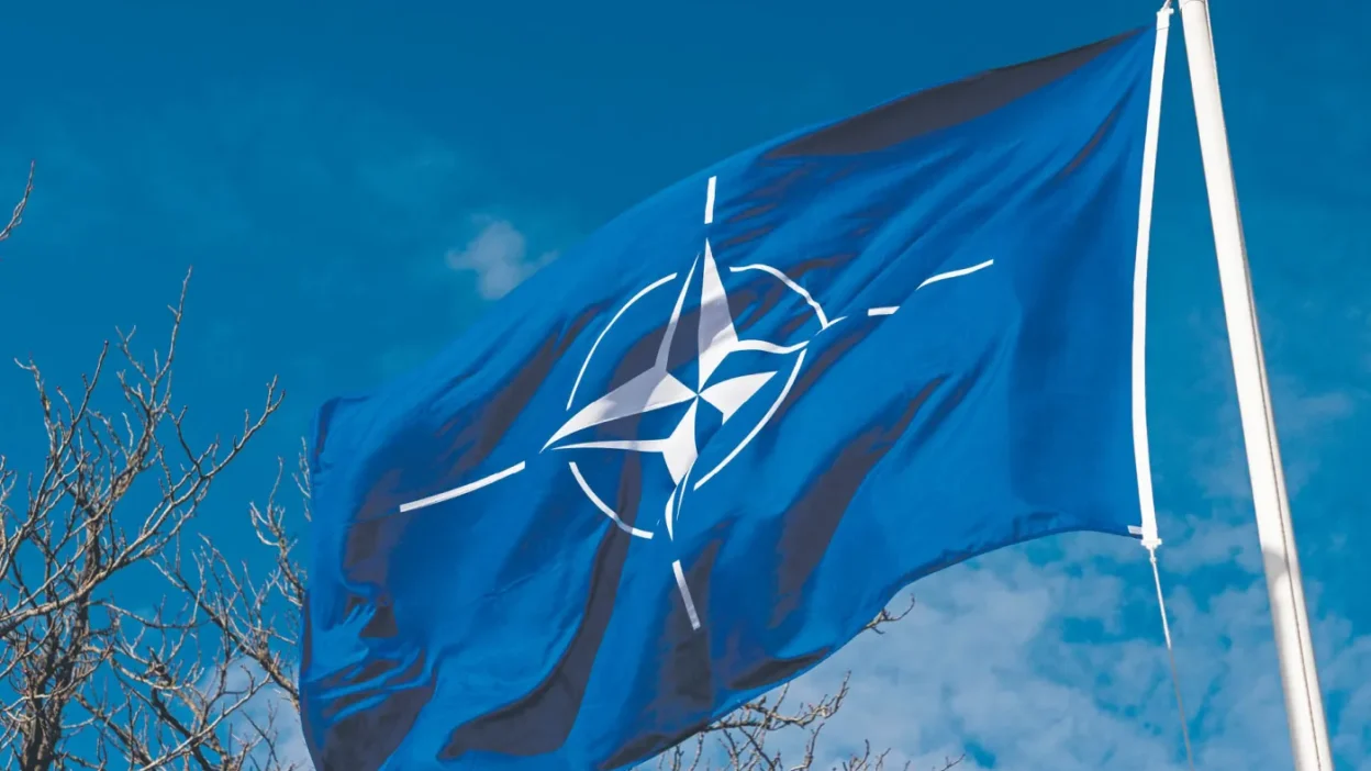 Nato, i̇ran füzesini türk hava sahasında düşürdü 1 Nato i ran fuzesini turk hava sahasinda dusurdu 56979