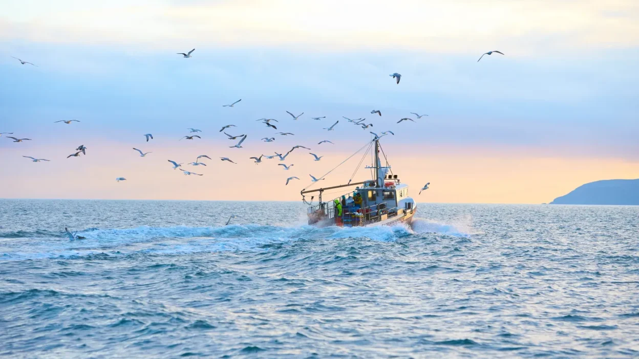 Norveç'te balıkçı teknesi uzay fırlatmasını engelledi 1 Norvec te balikci teknesi uzay firlatmasini engelledi 55712