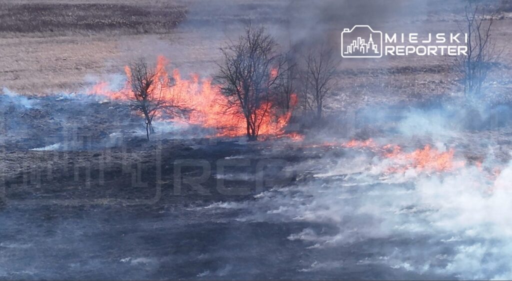 Otwocki de cim yanginlari i tfaiye uygulamalari ve yasaklanma uyarisi 50954