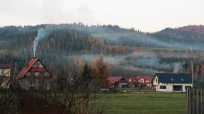 Polonya da 13 yasindaki cocuk gizemli sekilde hayatini kaybetti olum nedenini belirlemek i cin ek i ncelemeler baslatildi 55312
