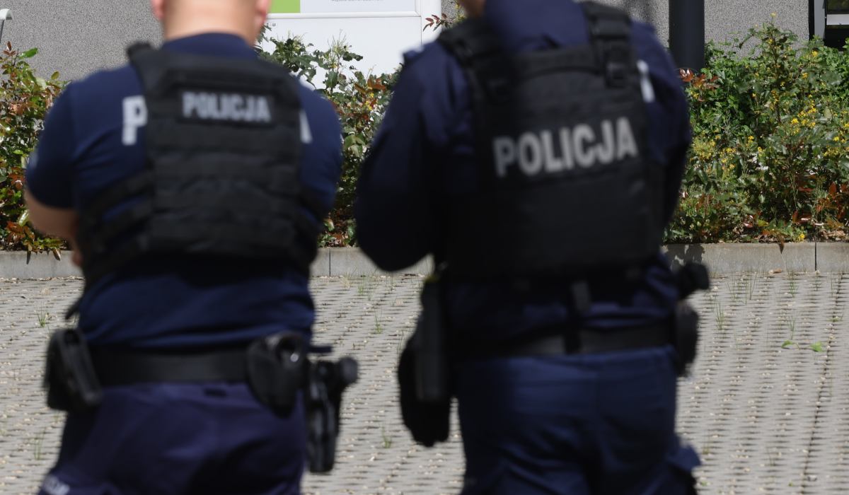 Polonya da 15 aylik bebek kresten kayboldu vatandasin dikkatli gozuyle kurtarildi 55688