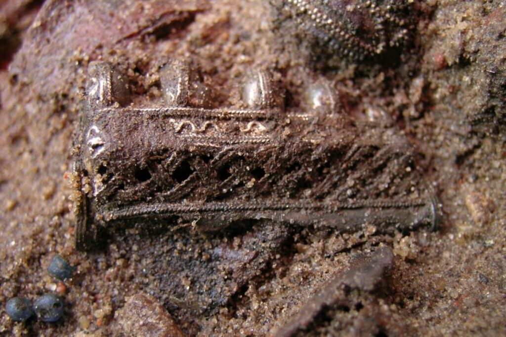 polonya da 17 yuzyil mezarliginda toplum disi birakilanlarin i zleri 52883