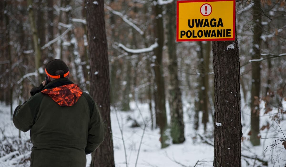 Polonya da av esnasinda trajik olum bir avci silahla hayatini kaybetti 54276
