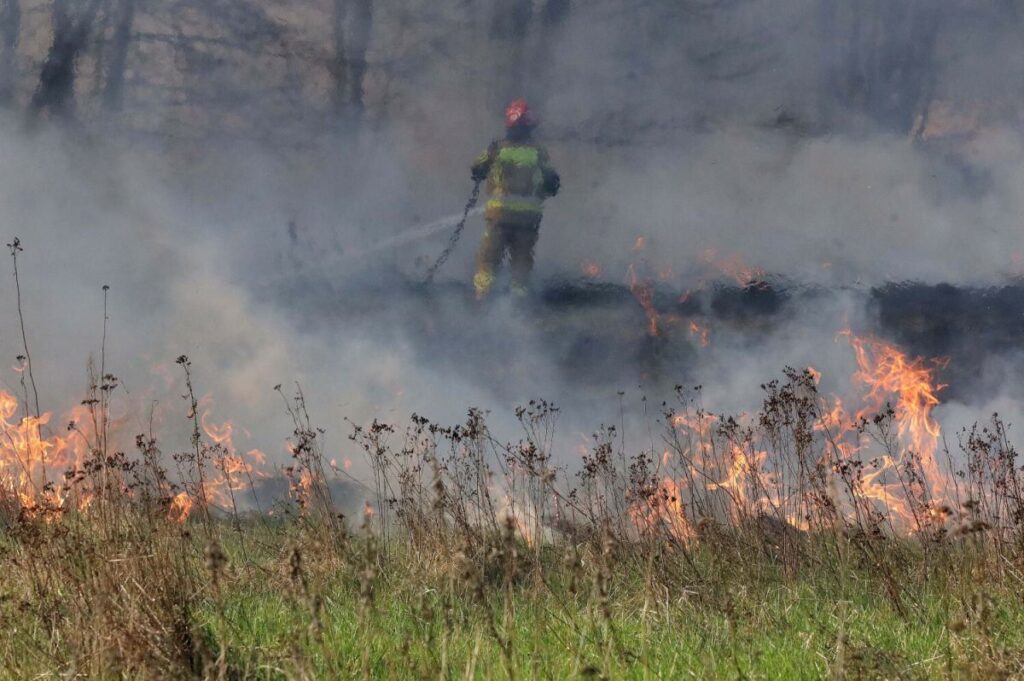 polonya da cayir yangininda bir kisi hayatini kaybetti 55202