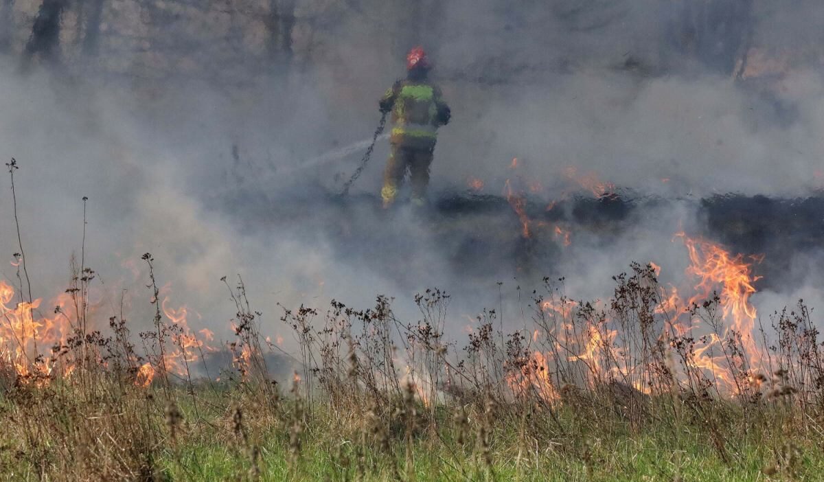 Polonya'da çayır yangınında bir kişi hayatını kaybetti 1 Polonya da cayir yangininda bir kisi hayatini kaybetti 55202