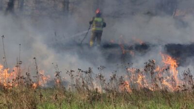 Polonya da cayir yangininda bir kisi hayatini kaybetti 55202